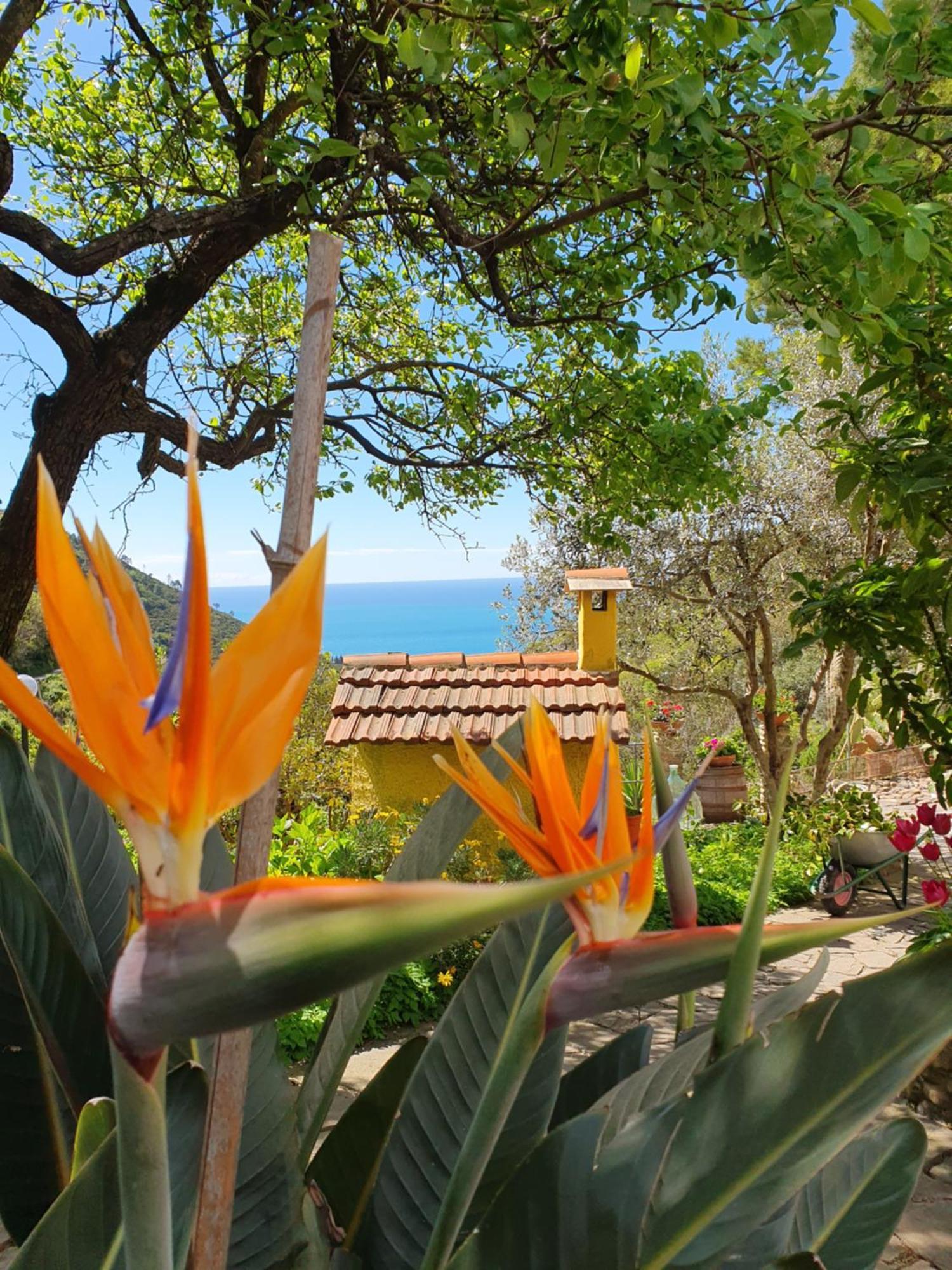 Costa Di Campo Vakantieboerderij *