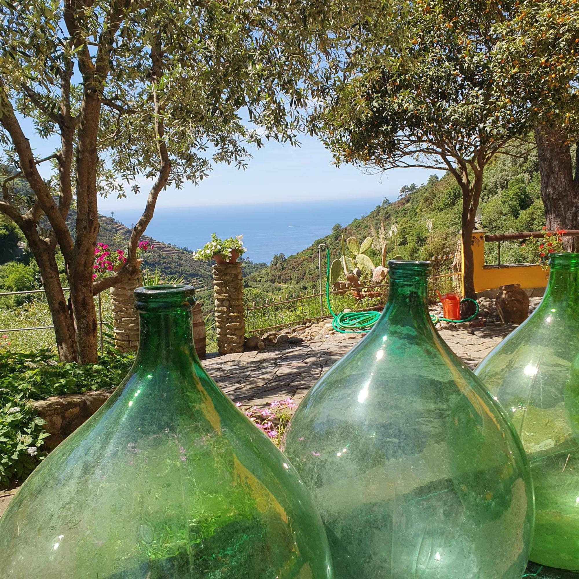 Costa Di Campo Vernazza