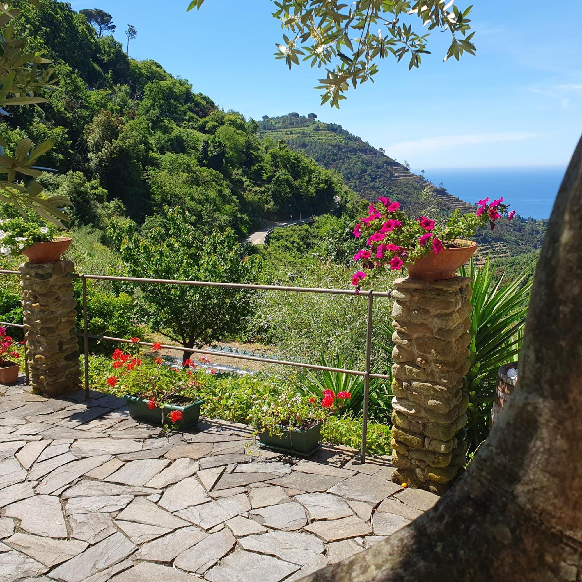 Costa Di Campo Vakantieboerderij *