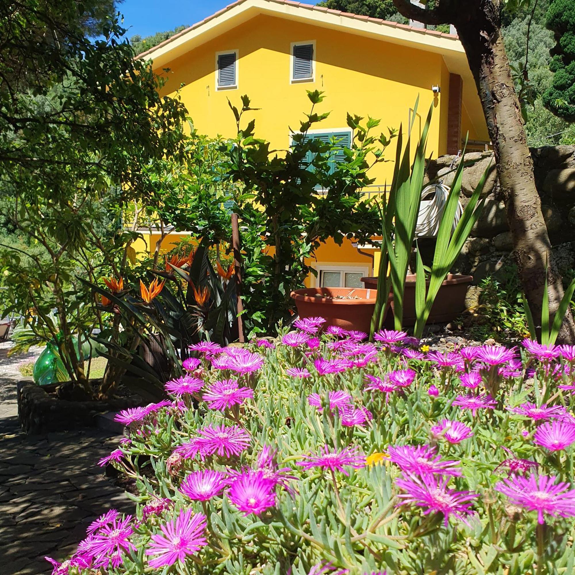 Vakantieboerderij Costa Di Campo Vernazza