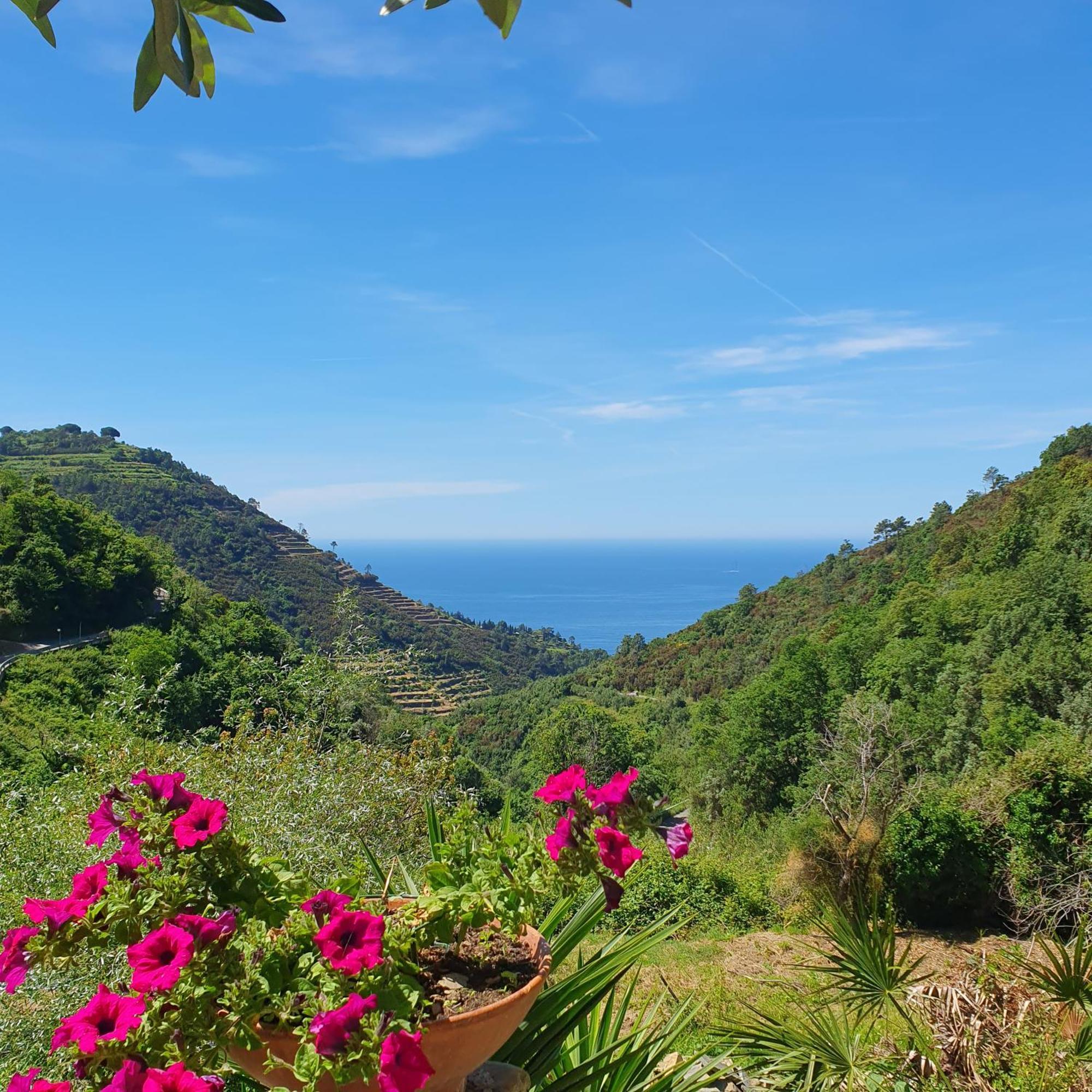 Costa Di Campo