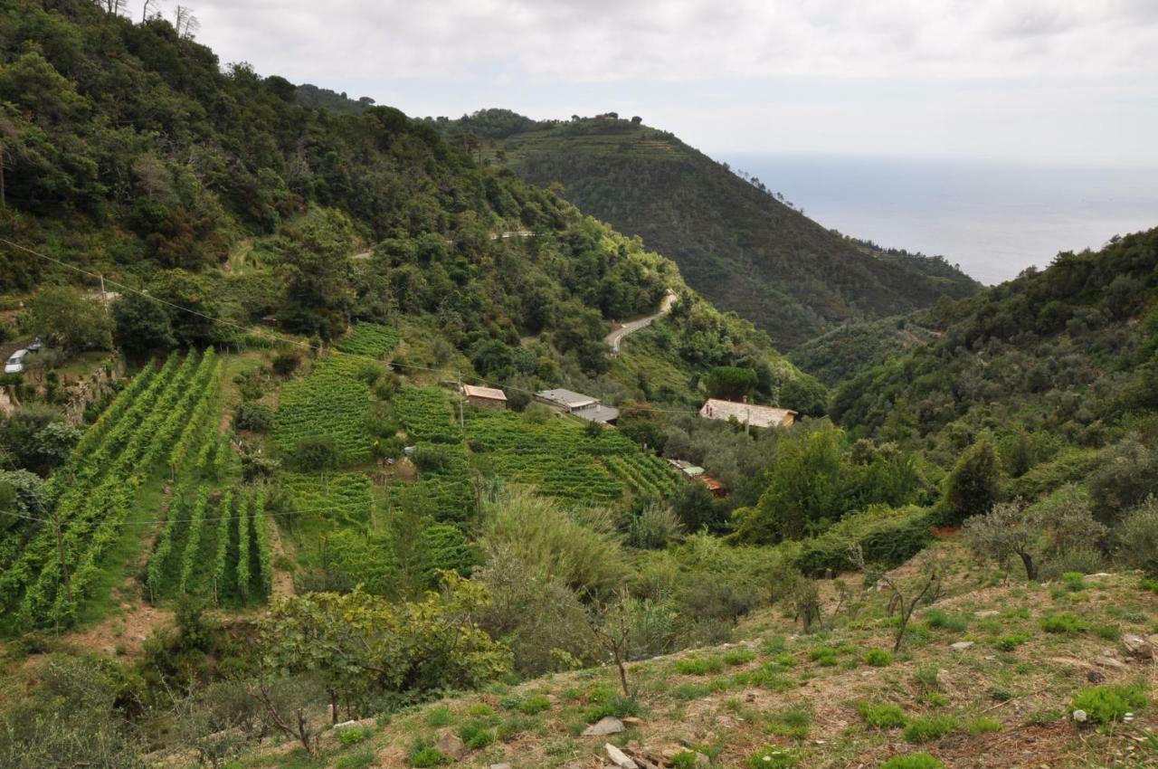 Vakantieboerderij Costa Di Campo Vernazza